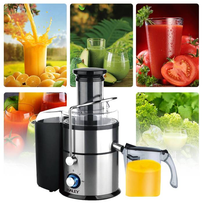 Haley HY-976 — регулируемая мощность, подходит для фруктов, овощей и зелени