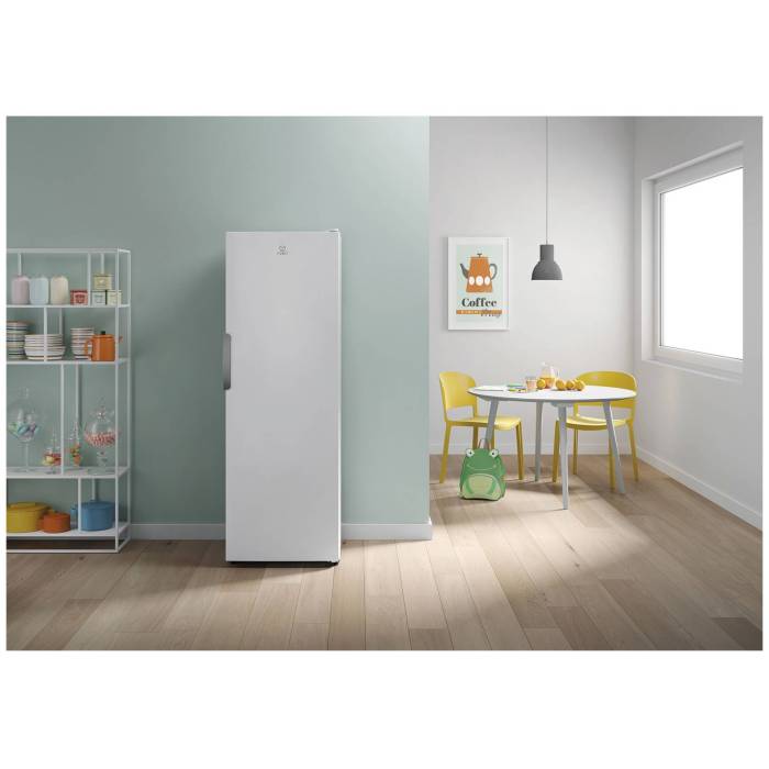 Морозильник вертикальный INDESIT DSZ 5175 W
