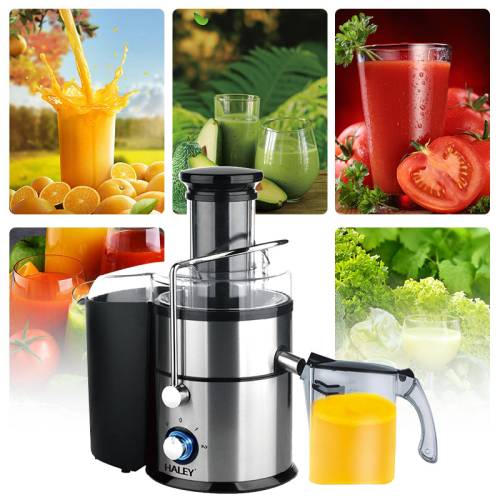 Haley HY-976 — регулируемая мощность, подходит для фруктов, овощей и зелени