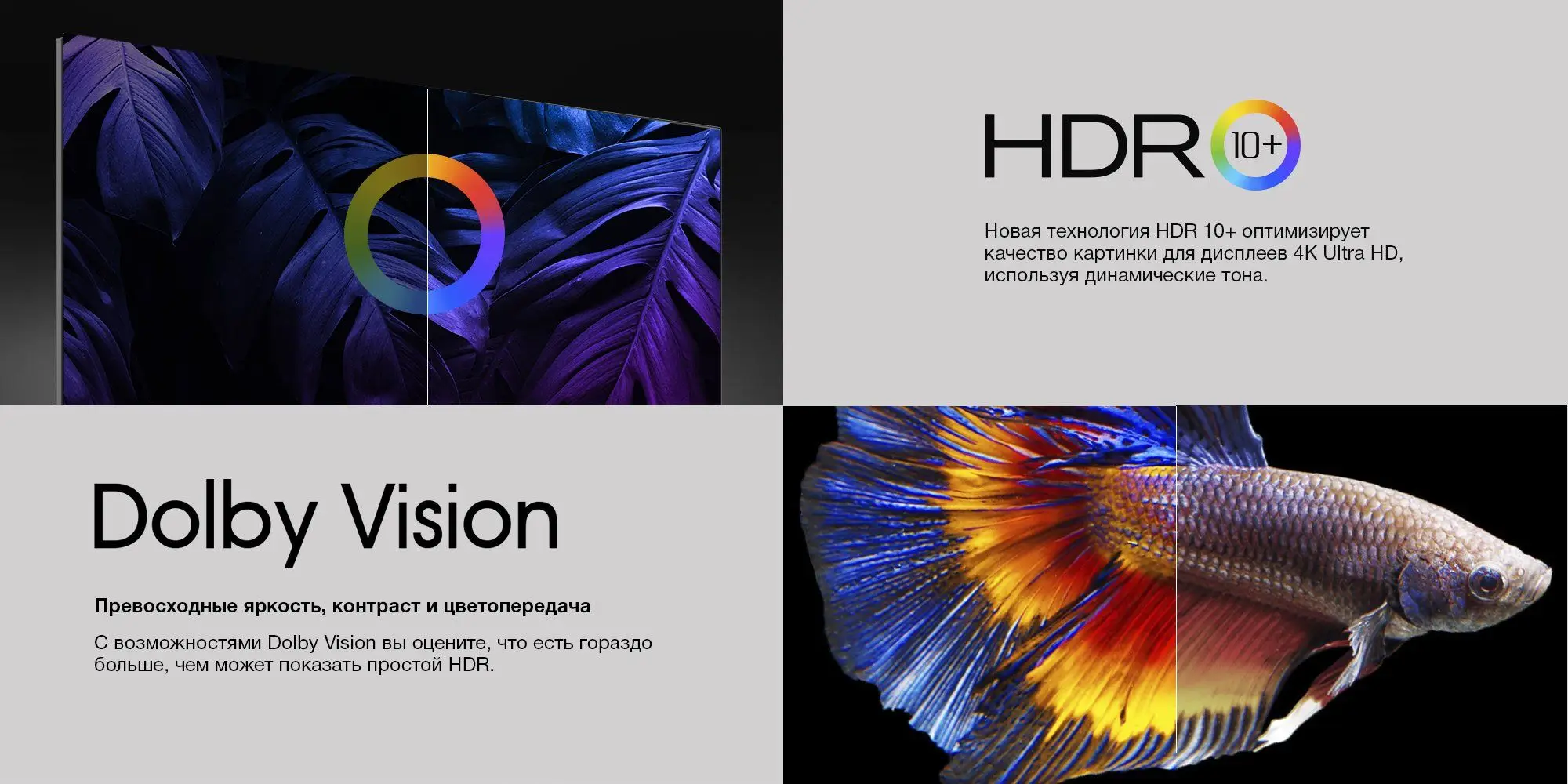 HDR10 and Dolby vision